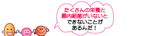 たくさんの栄養と腸内細菌がいないとできないことがあるんだ！