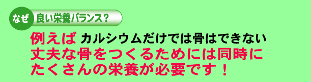 なぜ良い栄養バランス？例えばカルシウムだけでは骨はできない。丈夫な骨をつくるためには同時にたくさんの栄養が必要です。