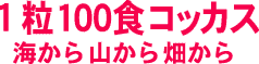 1粒100食コッカス海から山から畑から